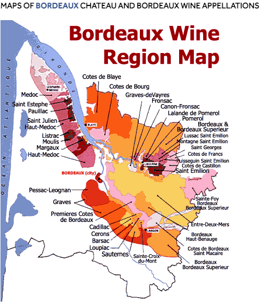 Budget-Friendly Wines